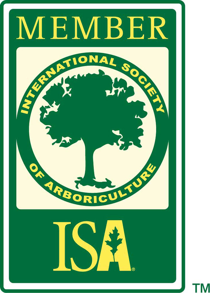 ISA-Member