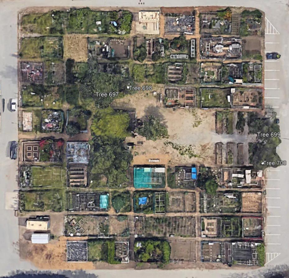 Tree Inventories and Survey Aerial Image